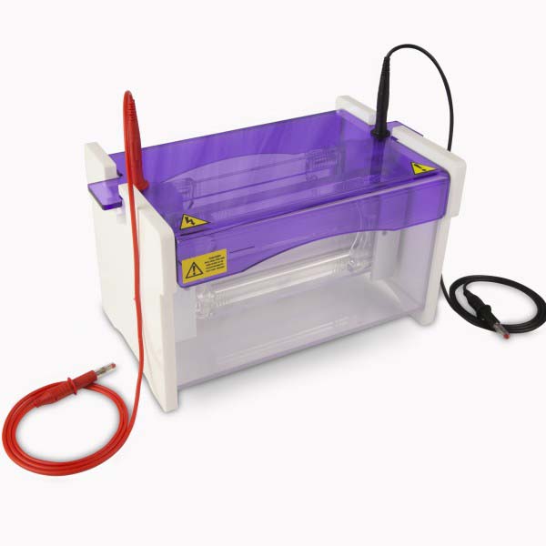  Mini Wide Dual Vertical Gel Electrophoresis Tank, 20 x 10cm. Complete with 2 Sets of Glass Plates with 1mm Thick Bonded Spacers, 2 x 24 Sample 1mm Thick Combs and Cooling Pack