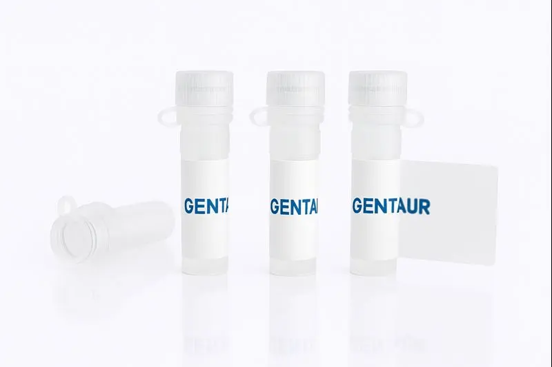 IFN-lambda 1/IL-29, Human (HEK293)