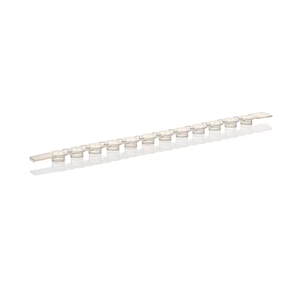 Strips of 12 Flat Caps 