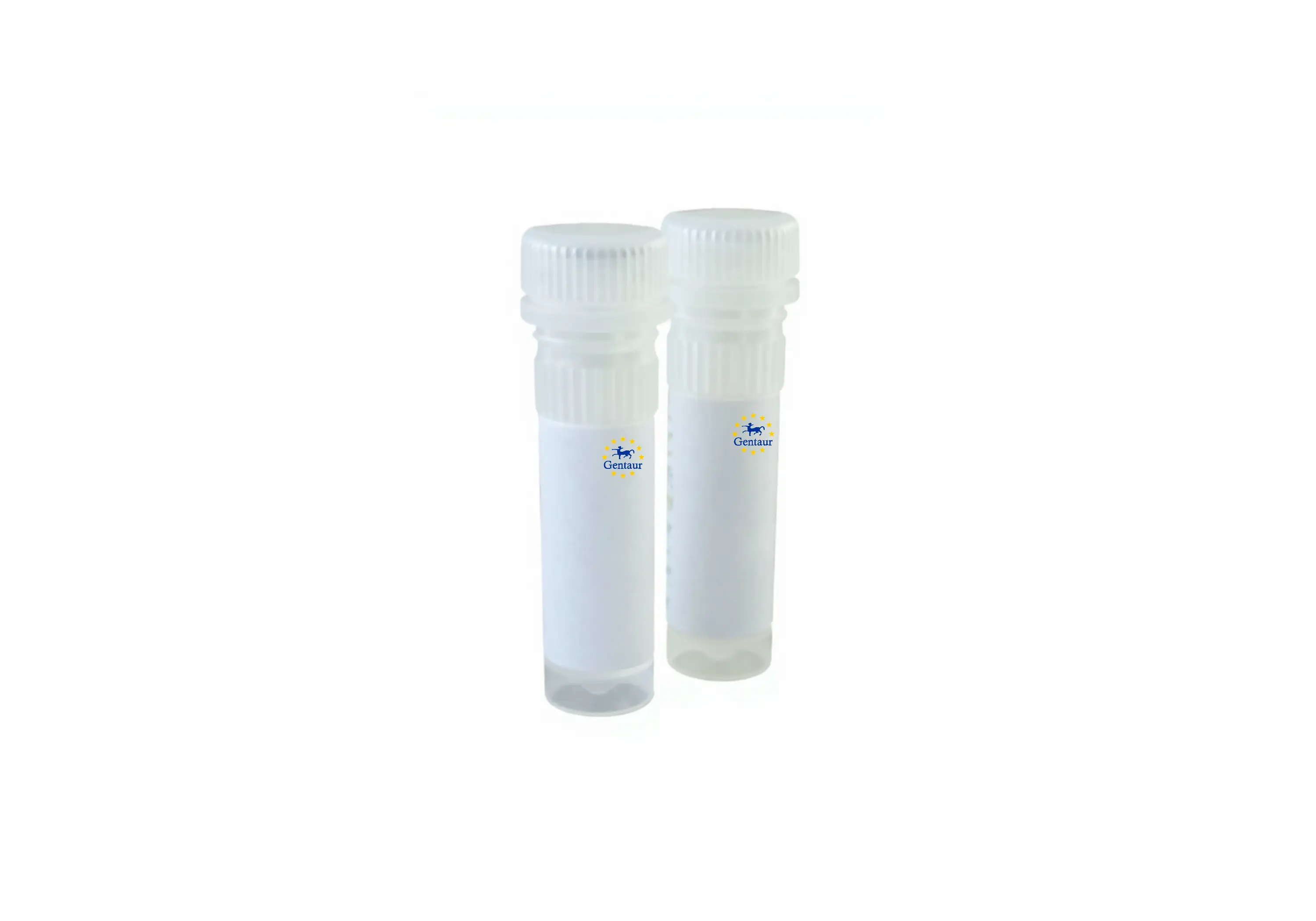  express plasmid miniprep kit 10 mins 