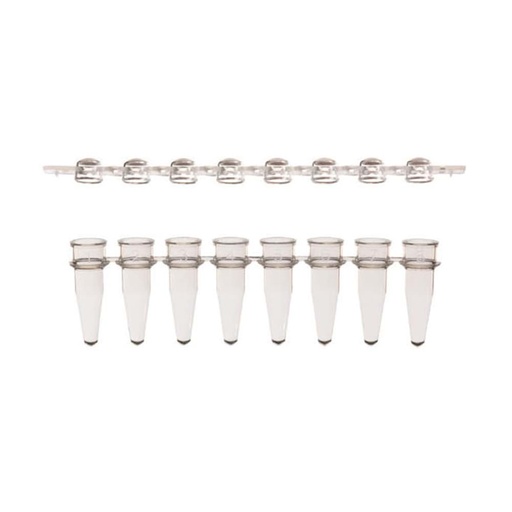 [GEN - WB 0451CS] AmpliStar-II 8-Strip 0.2ml PCR Tubes and Domed Caps, Assorted Colors