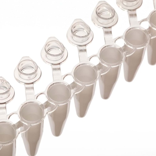 [GEN - WB 1502WS] AmpliStar-II 8-Strip 0.2ml White PCR Tubes, Attached Optical Flat Caps