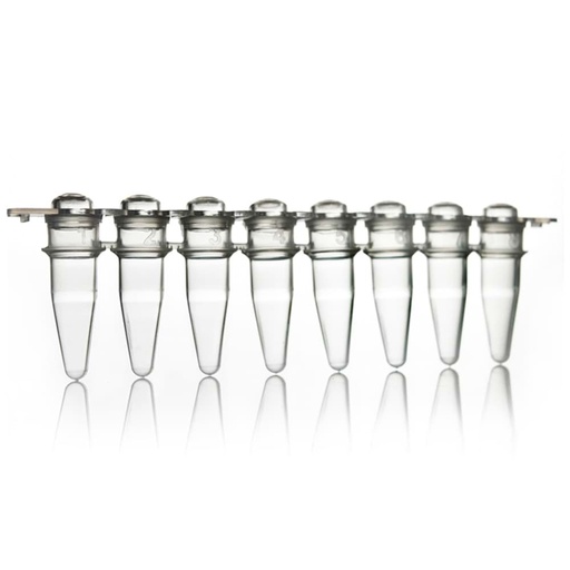 [GEN - WB 2-3400] AmpliStar 8-Strip 0.2ml PCR Tubes and Domed Caps