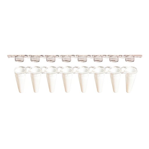 [GEN - WB 1771S] AmpliStar-II 8-Strip 0.1ml Low-Profile White PCR Tubes with Optical Flat Caps