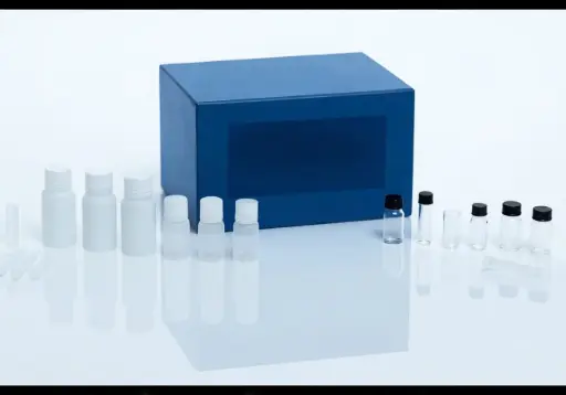CD197 (CCR7) Antibody, anti-human